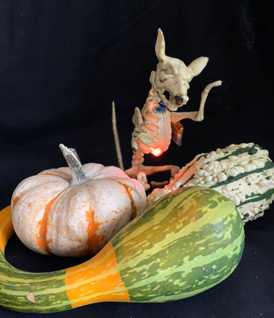 Halloween Decoration Candle Flickering with TinyLily RGB LED